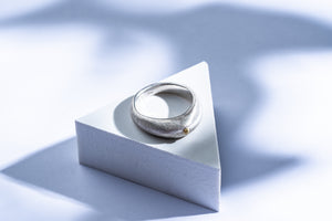 Silver ring with gold details