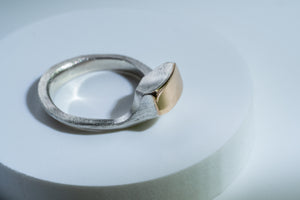 Silver and gold ring "Siotus"