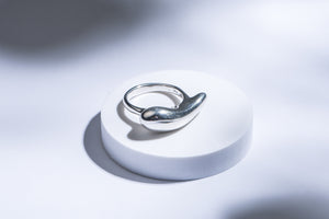 Polished silver ring